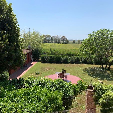 Casale Degli Ulivi Maccarese Villa Le Cerquete Dış mekan fotoğraf