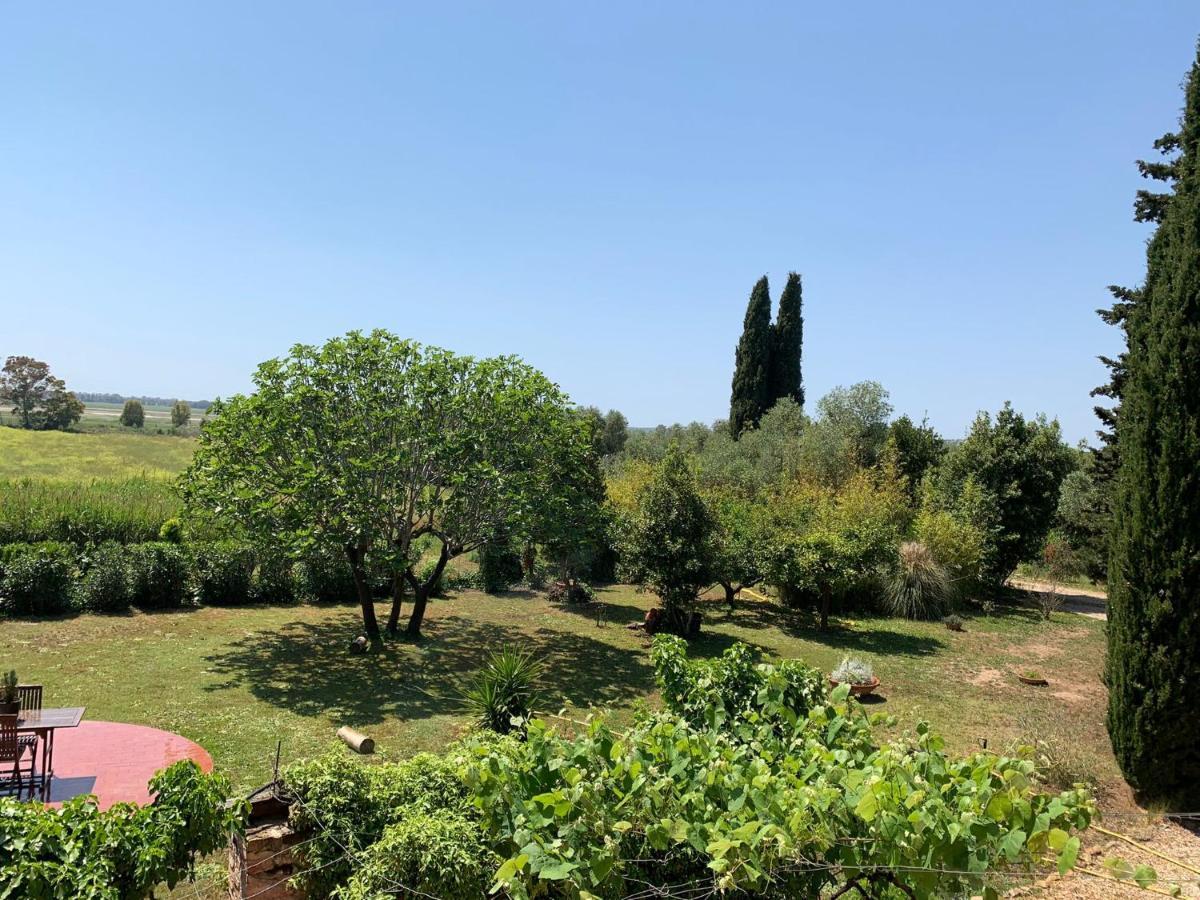 Casale Degli Ulivi Maccarese Villa Le Cerquete Dış mekan fotoğraf