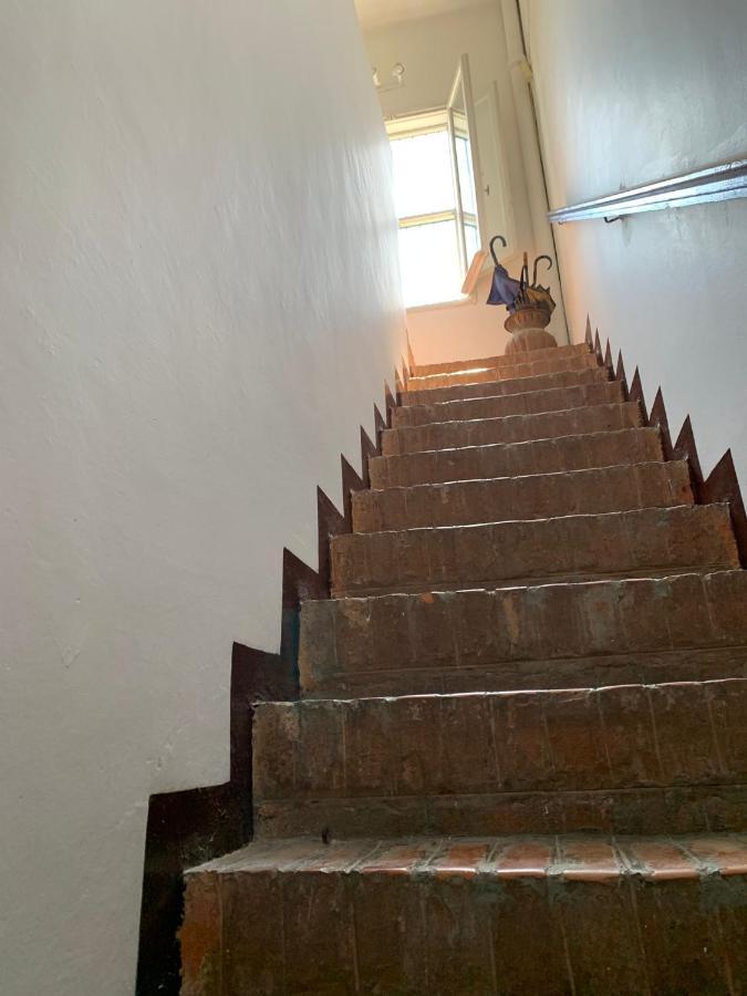 Casale Degli Ulivi Maccarese Villa Le Cerquete Dış mekan fotoğraf