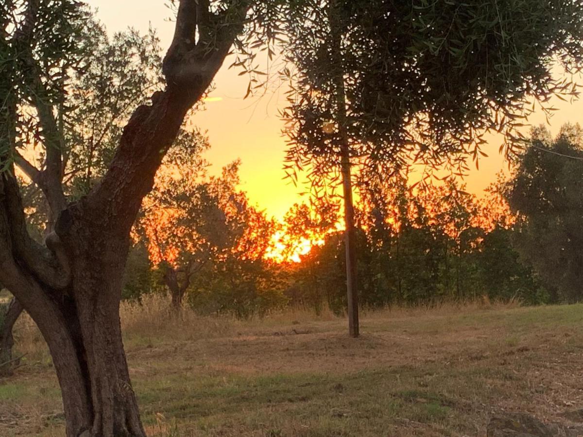 Casale Degli Ulivi Maccarese Villa Le Cerquete Dış mekan fotoğraf